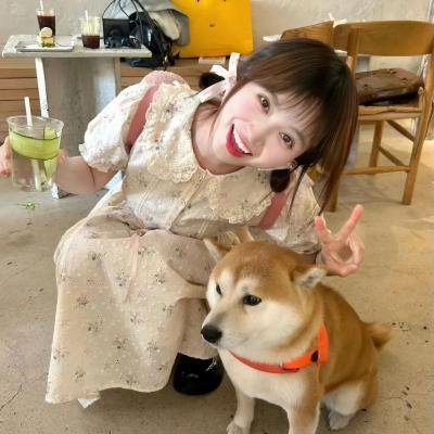 艺伎回忆录
